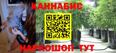 прущие грибы Севастополь