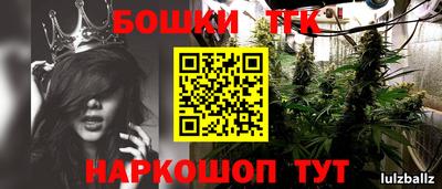 прущие грибы Севастополь